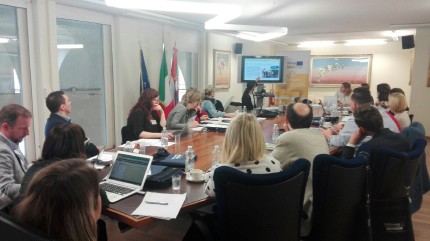 4th Project meeting, Torino_1 