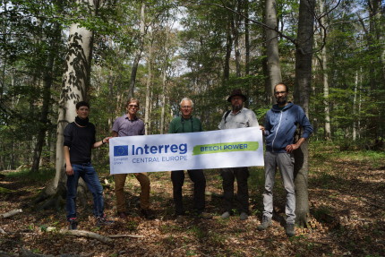 Manfred Grossmann, director of Hainich National Park, together with a Beech Power delegation studying the unfolding beech dieback in Eastern Germany (photo: P. Ibisch) 