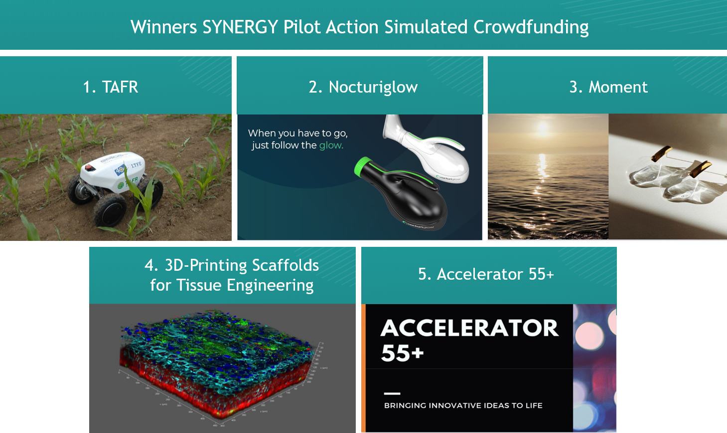 Winner Campaigns of the SYNERGY Pilot Action Simulated Crowdfunding © TAFR/Tao Tech LLC/Monika Šangulin/CC0/Simbioza Genesis social enterprise, adapted