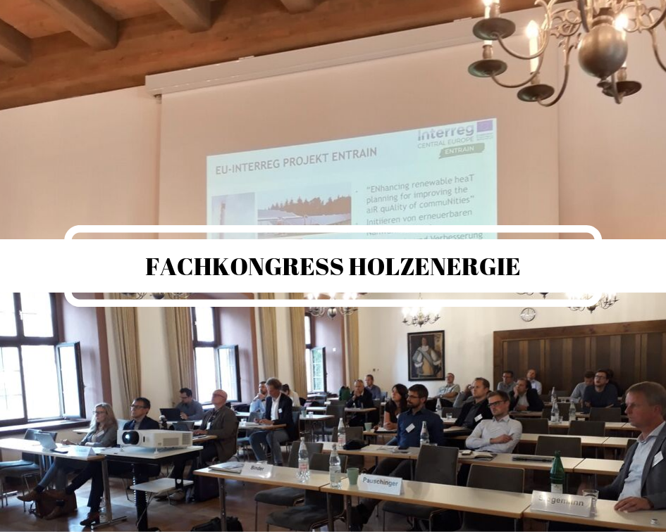 Fachkongress holzenergie conference 