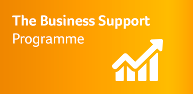 The Business Support Programme 