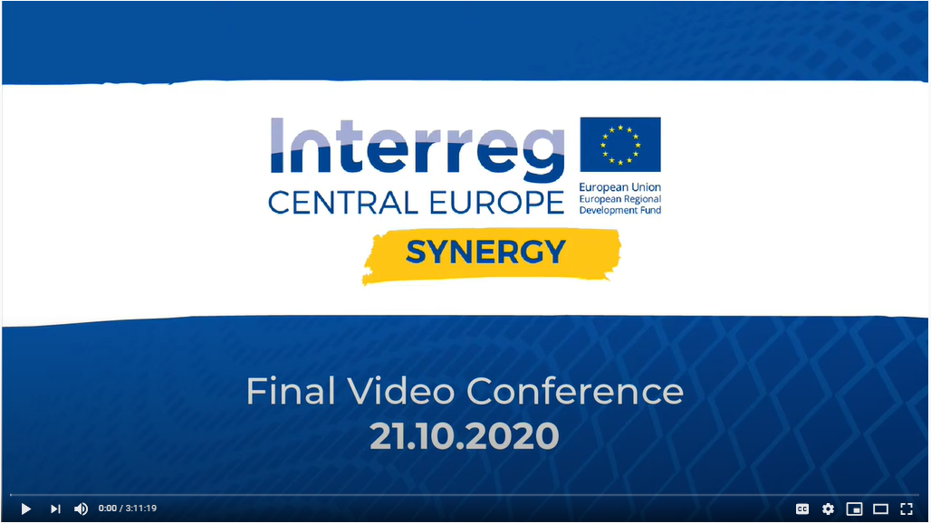 SYNERGY Final Video Conference; Image Source: SYNERGY Project 