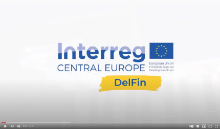 Interreg DelFin video 