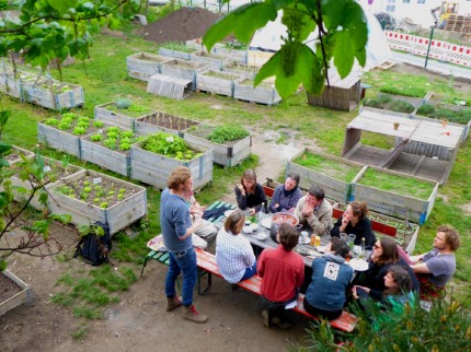 Regular workshops and excursions take place on the garden plots 