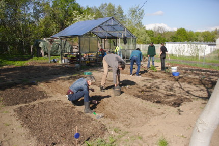 Sowing seeds in early spring  