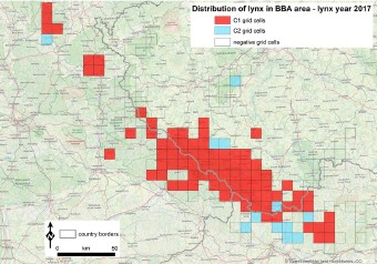 Lynx distribution 2017-2018 in BBA population 