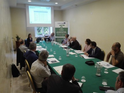 Waste heat recovery opportunities in Friuli Venezia Giulia 