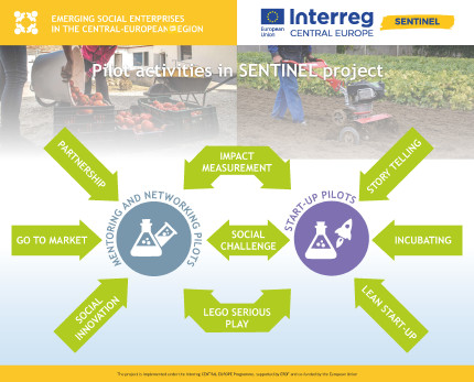 Pilot activities in SENTINEL project, infographics 5th 