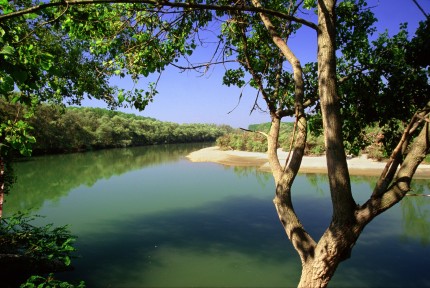 The River Po in Nature Reserve Lanca di San Michele 