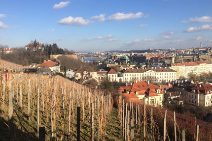 Therapic gardens in Prague 