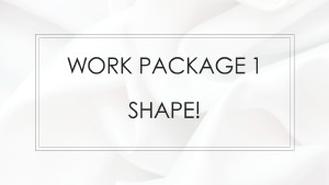 Work Package 1 - SHAPE!