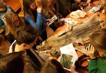 Slovenian pupils get to know big carnivores 