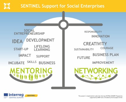 Support for social enterprises, Sentinel's infographics 7th 