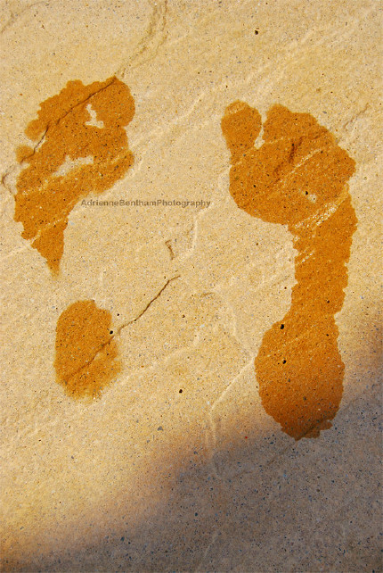 water footprint 