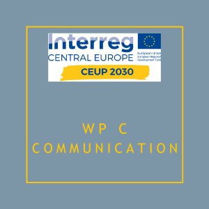 WP C - COMMUNICATION