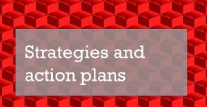 Strategies and action plans