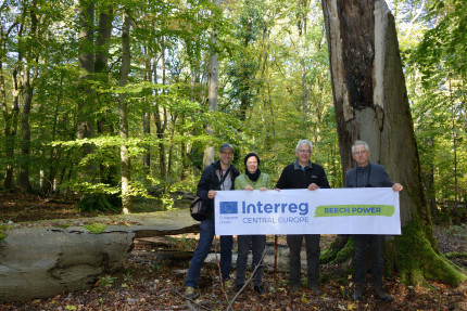 Hainich National Park 