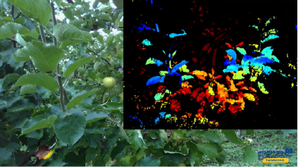 sensor infrared light view grapevine 