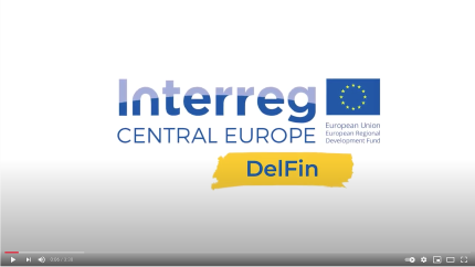 Intrreg Delfin what we do 