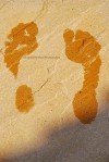 footprint 