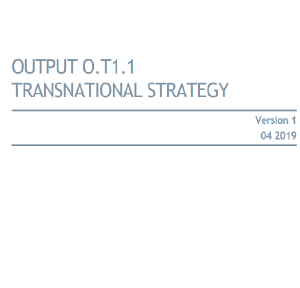 Transnational Strategy