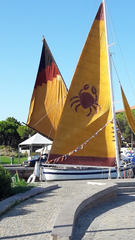 One of Cervia's trademarks: personalized sails 