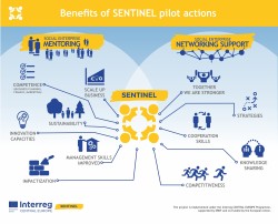 Benefits of SENTINEL pilot actions 